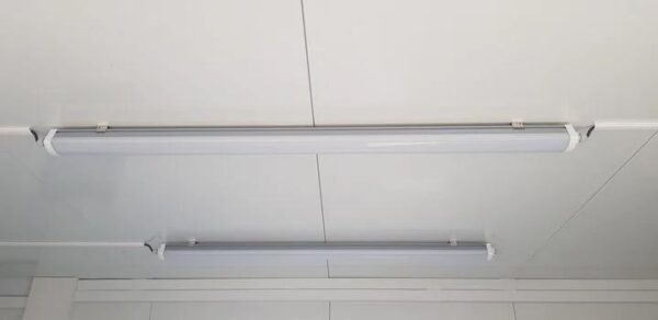 40' Houten Bar Container – Premium Commercieel Ruimte